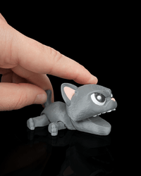 Bitty Pounce