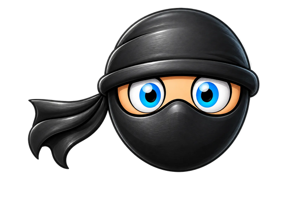 3Ds Ninja