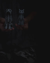 Skeleton Pet Figurines