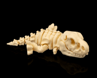 Skeleton T-Rex