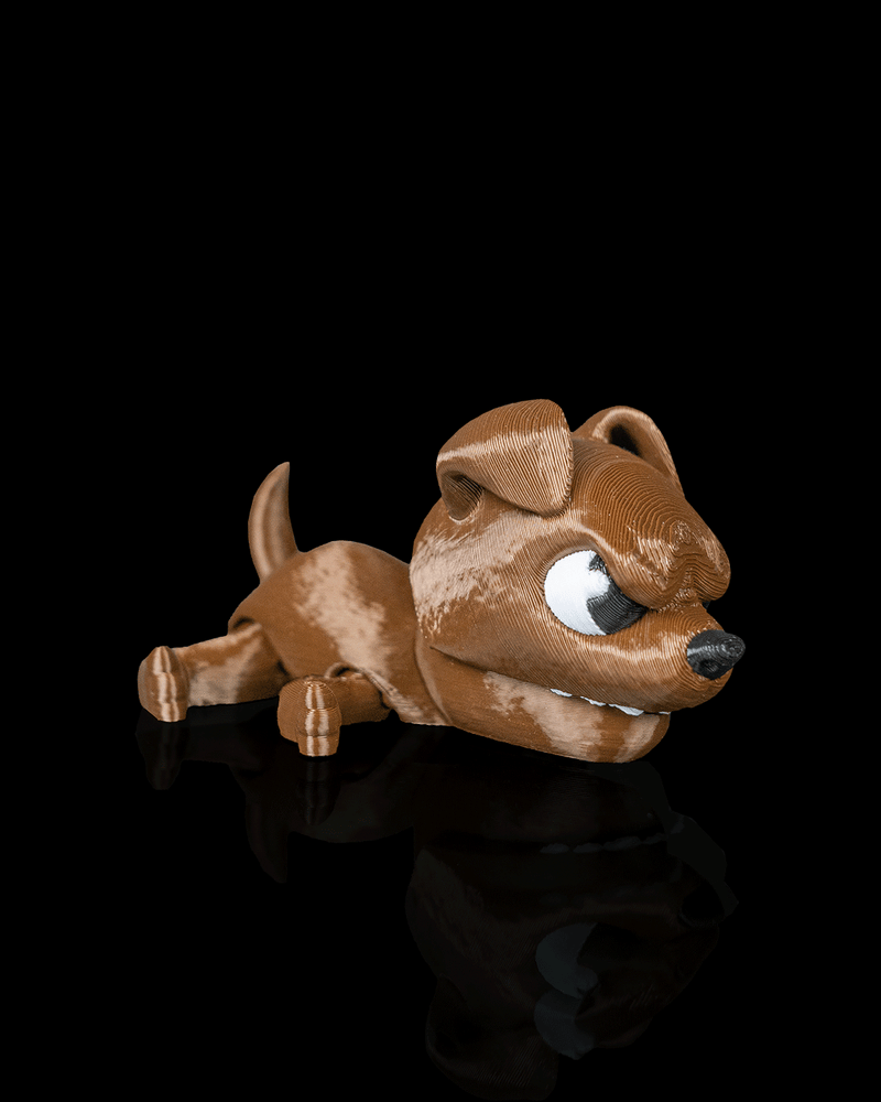 Snappy Pup
